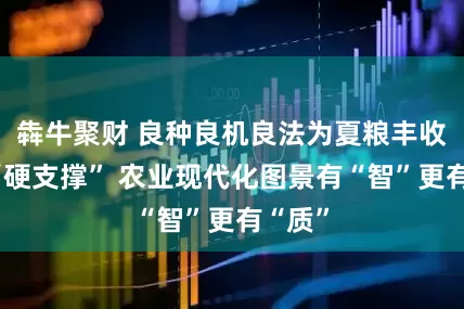 犇牛聚财 良种良机良法为夏粮丰收提供“硬支撑” 农业现代化图景有“智”更有“质”