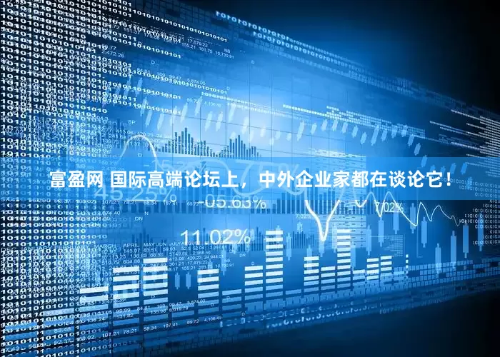 富盈网 国际高端论坛上，中外企业家都在谈论它！