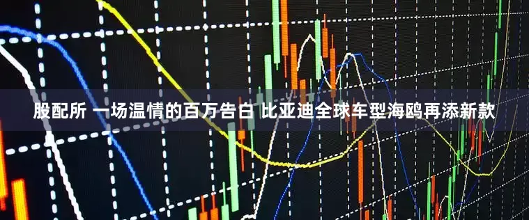 股配所 一场温情的百万告白 比亚迪全球车型海鸥再添新款