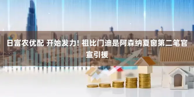 日富农优配 开始发力! 祖比门迪是阿森纳夏窗第二笔官宣引援