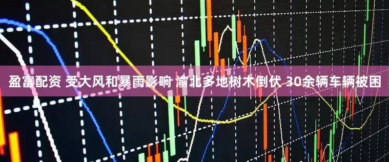 盈富配资 受大风和暴雨影响 渝北多地树木倒伏 30余辆车辆被困